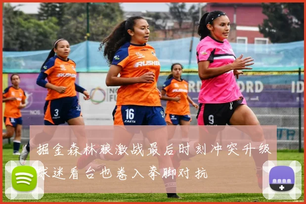 掘金森林狼激战最后时刻冲突升级球迷看台也卷入拳脚对抗